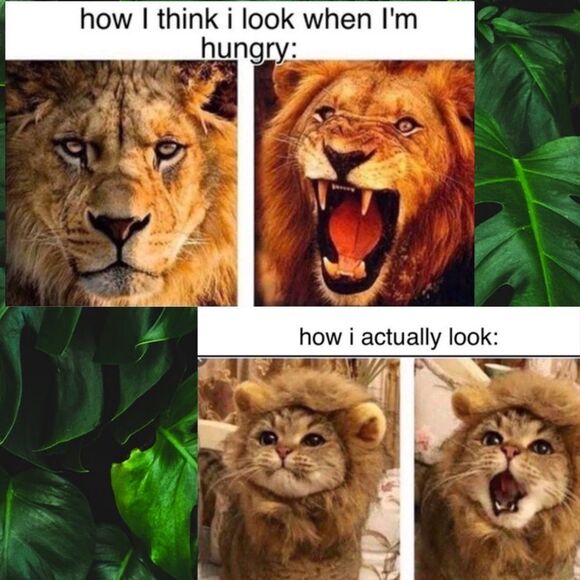 ISO Disney 50th Celebration McDonalds Toys For TRADE ONLY PFFS Girlsquad - Picture 15 of 15